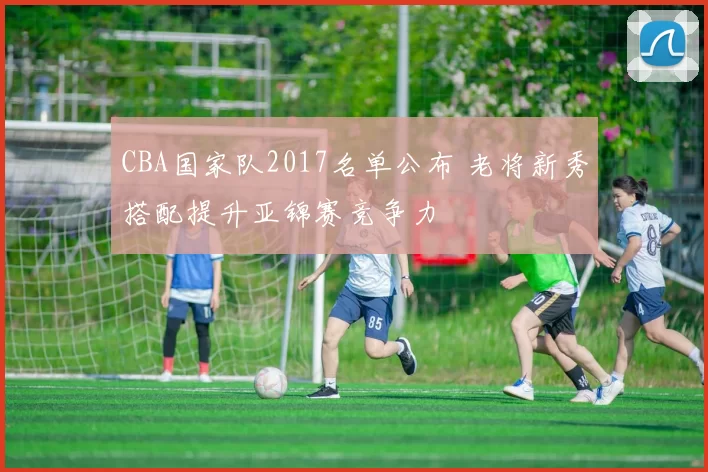 CBA国家队2017名单公布 老将新秀搭配提升亚锦赛竞争力