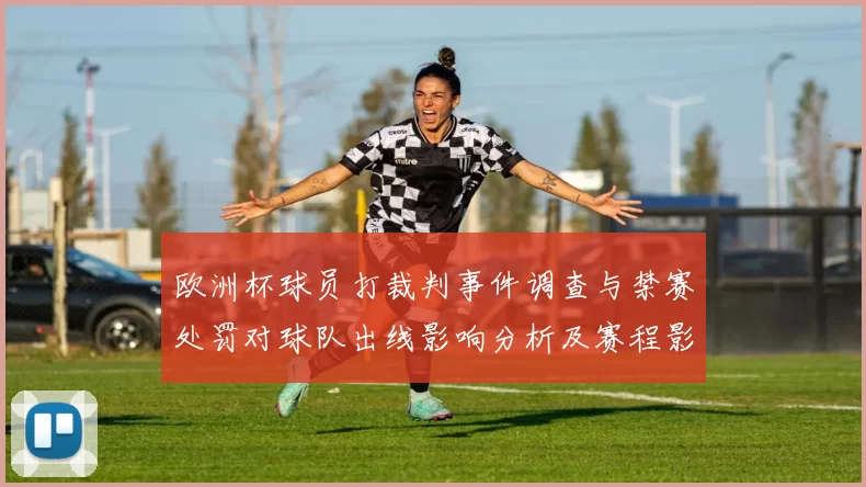 欧洲杯球员打裁判事件调查与禁赛处罚对球队出线影响分析及赛程影响