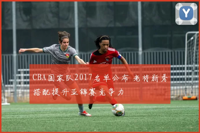 CBA国家队2017名单公布 老将新秀搭配提升亚锦赛竞争力